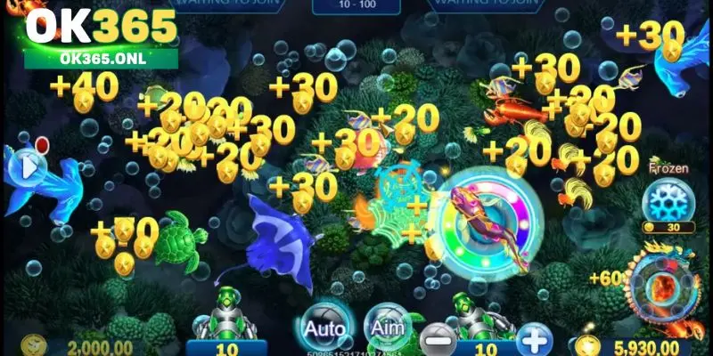 Bộ sưu tập vũ khí săn cá phong phú tại Royal Fishing