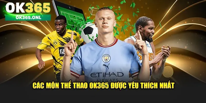 Các môn thể thao được yêu thích tại OK365