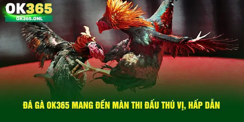 Các sảnh giải trí nổi bật
