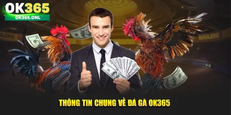 Giới thiệu về đá gà OK365