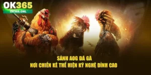 Khám phá sảnh đá gà AOG hiện nay