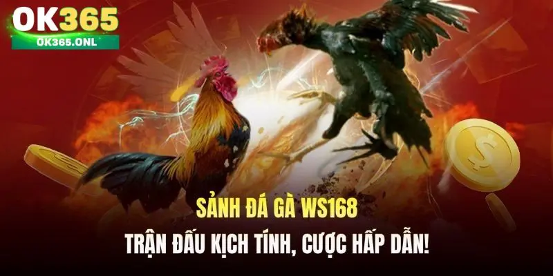 Thông tin mới nhất về chọi gà WS168